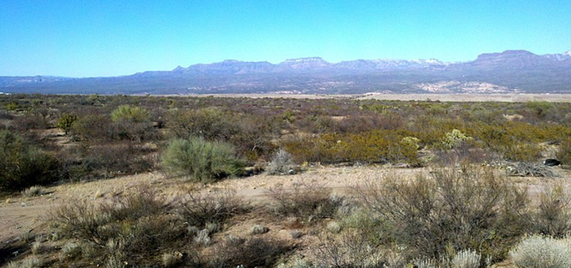 Photo-01-for-Homepage